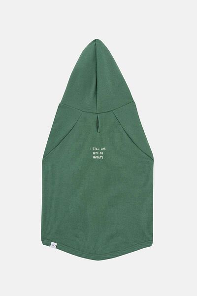 Bruno Society Supersoft Green Dog Hoodie