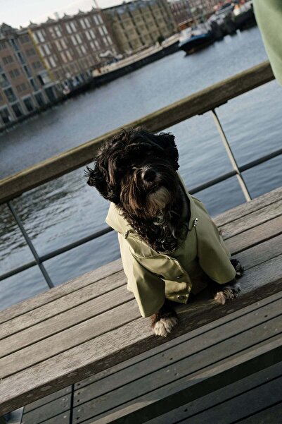Bruno Society Köpek Yağmurluk - Yeşil
