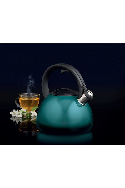 Ambition Ceainic aragaz cu fluier 2.6L (3L), inductie, turcoaz, Ombre