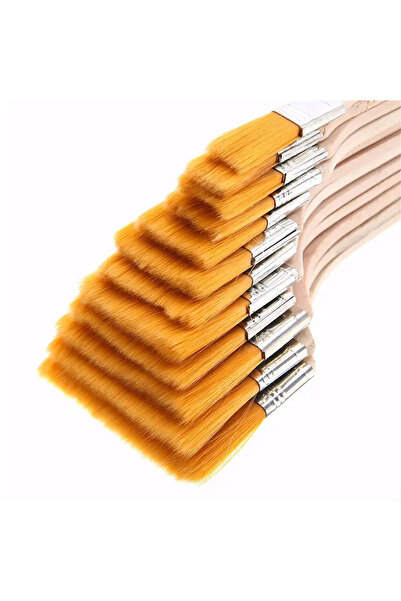 Choice مجموعة من 12 فرشاة طلاء من النايلون - شعيرات صناعية عالية الجودة للأكر...