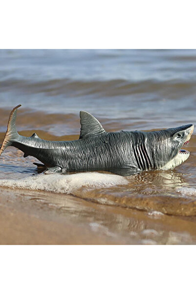 choice2 لعبة سمكة قرش ميغالودون كبيرة، مجسم حيوان بحري بلاستيكي، لعبة ديناصور...