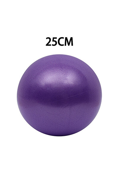 Choice1 كرة بيلاتيس أرجوانية مقاس 25 سم، مقاومة للانفجار، كرة يوغا أساسية، كر...