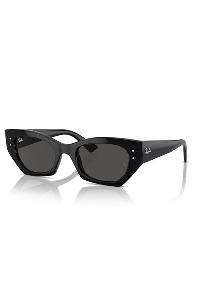 Ray-Ban Suitable Parts for Rb 4430 Model 6677/87 49 Number