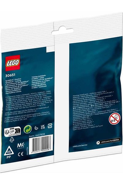 LEGO هاري بوتر 30651 ممارسة الكويدتش