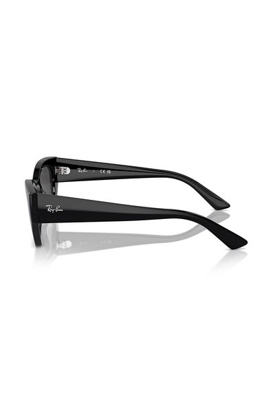 Ray-Ban Suitable Parts for Rb 4430 Model 6677/87 49 Number
