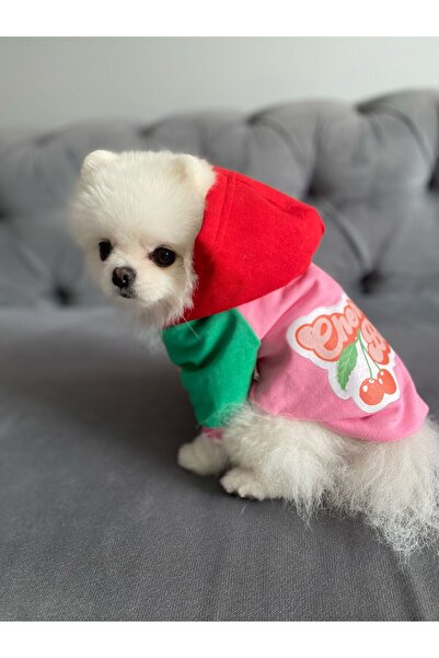 PATİBÖR Pembe Vişne Kapüşonlu Köpek Sweatshirt