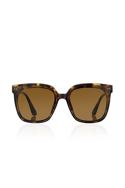 Aqua Di Polo 1987 Aqua di Polo 1987 Brown Sunglasses for Women APSI002102