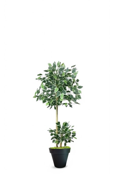 ERHAN FLOWERS ÇİÇEK & DEKORASYON 150 cm ficus yapay ağaç bambu 2 gövdeli siya...