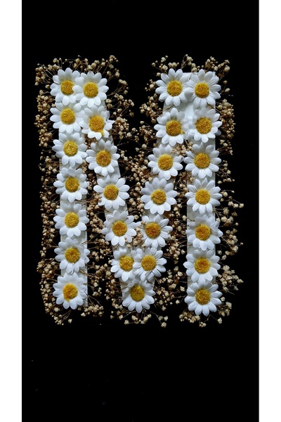 Petaliza Gelin Arabası M Harfi Papatya Ve Şoklanmış Cipso Ile Süslü 25cm