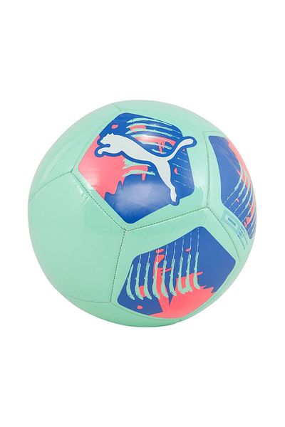 Puma Minge Puma Big Cat Marime 5