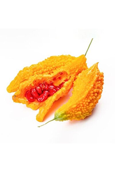 E-fidancim Ata Tohumları Geleneksel Doğal Kudret Narı Fidesi (10 adet Fide)