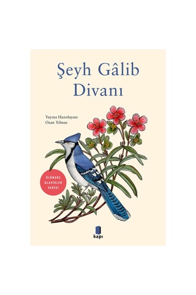 Kapı Yayınları Şeyh Gâlib Divanı