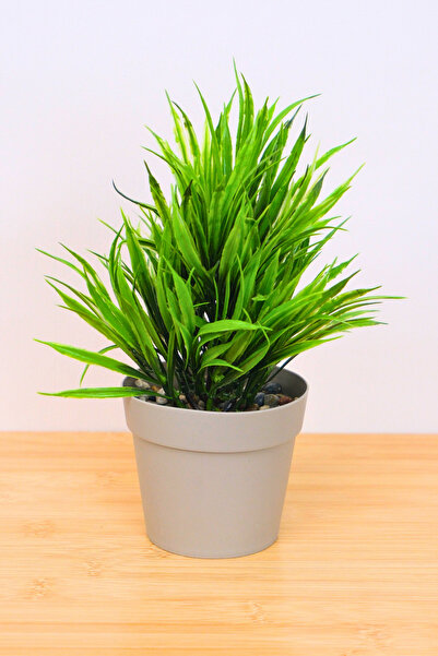 Digithome Dekoratif Saksılı Yapay Sazlı Çiçek Bej 22cm EVA-5823 C1-1-423