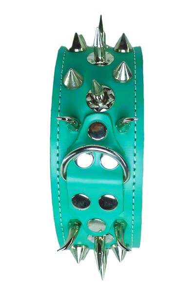 kozaklı SÜSLÜ KÖPEK KORUMA TASMASI