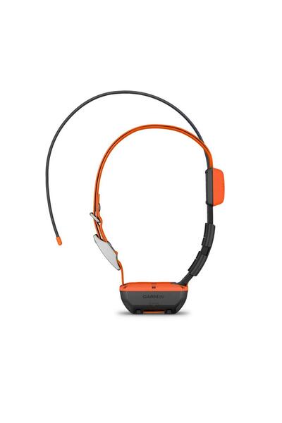 Garmin Alpha T 20 - Köpek Tasması