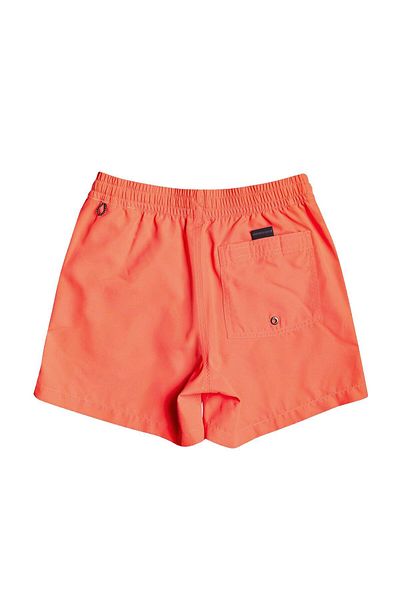 Quiksilver Pantaloni scurți de volei pentru copii de 13 inchi pentru fiecare zi-eqbjv03254-mkz0