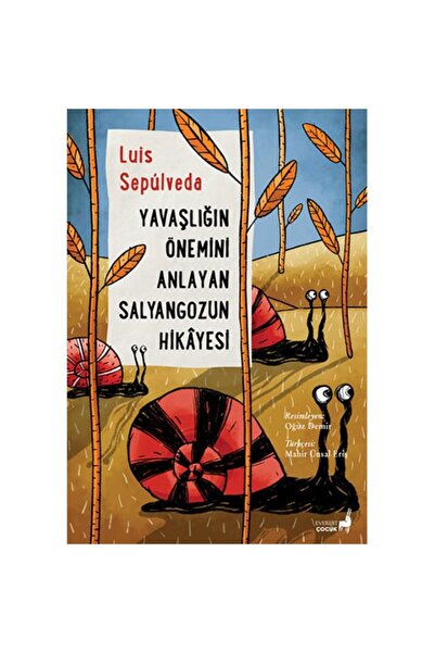 Everest Yayınları Yavaşlığın Öneminii Anlayan Salyangozun Hikayesi kitabı - L...