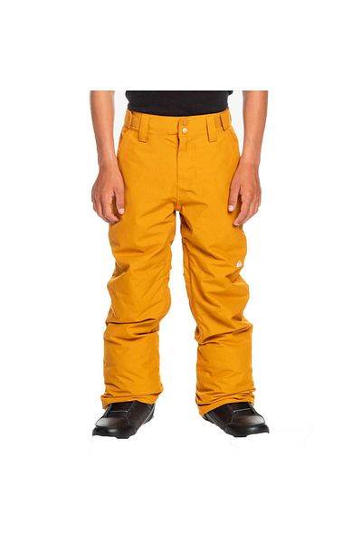 Quiksilver Estate 8-16 Years Old Children's Ski/Snowboard Pants-Eqbtp03033