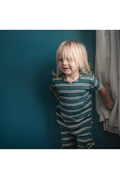 Antebies Organik Yeşil Beyaz Galaksi Çizgili Kısa Kollu Erkek Bebek Tshirt