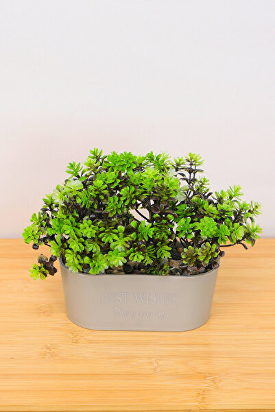 Digithome Dekoratif Kayık Saksılı Yapay Çiçekli Ağaç Yeşil 17cm EVA-5830 C1-1-423