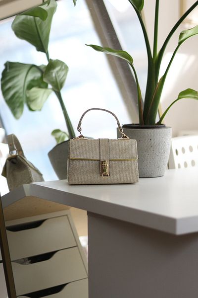 Moom Bag Geantă de umăr de mână cu lanț cu cataramă argintie aurie pentru femei