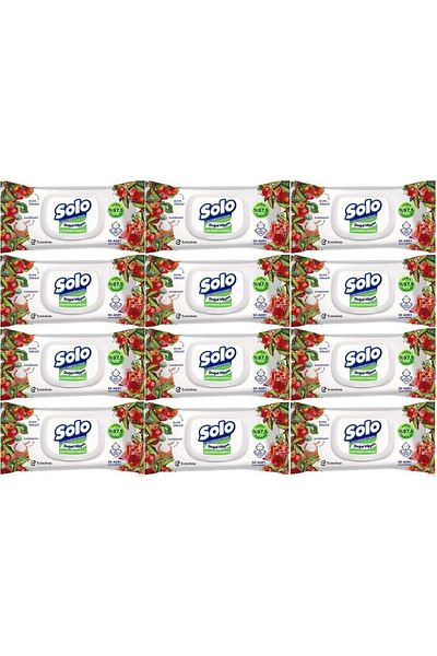 Solo Apple Cider Vinegar & Baking Soda Shampoo 600 Sheets 4 Pack (12L Set)