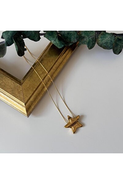 Alice İsstanbul Steel Star Necklace