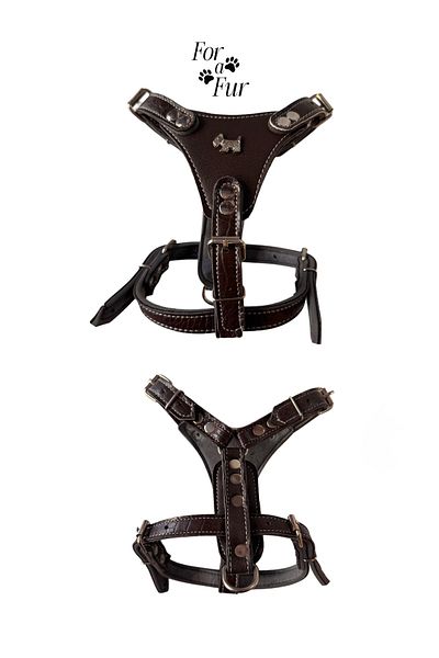 For a Fur Gladiator Leather Collar for Small Breeds m & L Size Matched