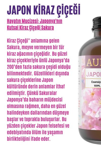 AURAN Japon Kirazı Esansiyel Uçucu Koku Yağı Difüzör Esansı Buhurdanlık Yağı Aromaterapi Yağı 100ml