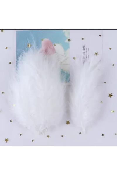 Fiyonks Atölye Kuş Tüyü, 100'lü Paket Kuş Tüy, Yapay Kuş Tüy, Süsleme Tüy