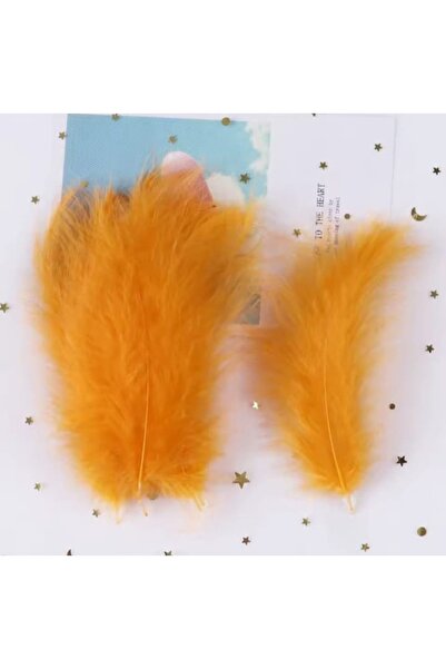 Fiyonks Atölye Kuş Tüyü, 100'lü Paket Kuş Tüy, Yapay Kuş Tüy, Süsleme Tüy