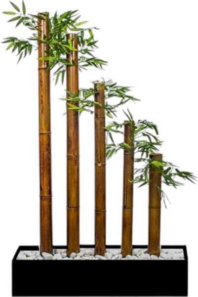 ERHAN FLOWERS ÇİÇEK & DEKORASYON 50 cm siyah mdf saksıda simetrik 5 bambulu seperatör