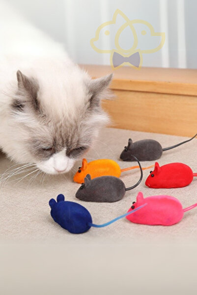 PapyonPet 4'lü Renkli Sesli Öten Fare Kedi Oyuncak | Eğlenceli ve Dayanıklı Kedi Oyuncağı