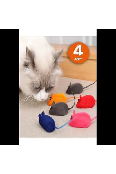 KASHİKOİ 4 Pieces Cat Training Game Mouse