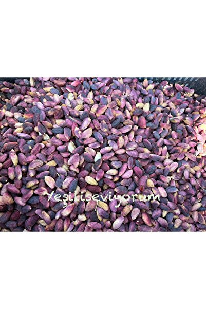 Genel Markalar Kuru Kırmızı Çiğ Kabuklu En Lezzetli Ağaç Altı Antep Fıstığı 1 Kilogram