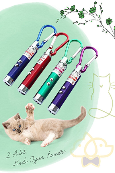 PapyonPet 2 Adet Kedi Lazer Oyuncak Anahtarlık 3 Fonksiyonlu Kedi Köpek Oyuncağı