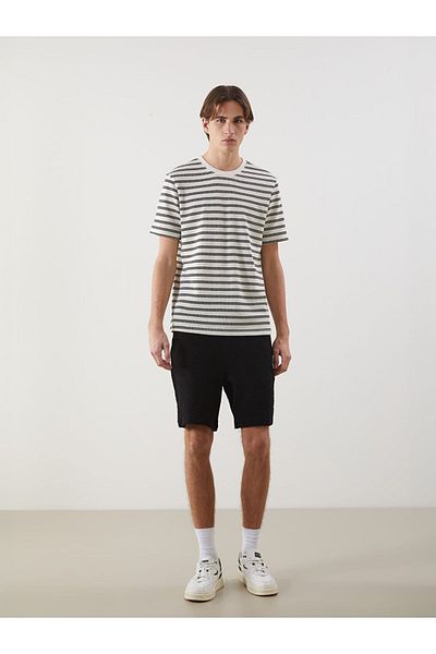 LC Waikiki Crew Neck Striped Men's T-Shirt