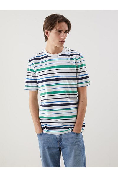 LC Waikiki Crew Neck Striped Men's T-Shirt