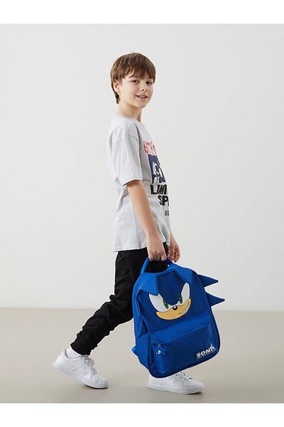 LC Waikiki Sonic Printed Boys' School Bag