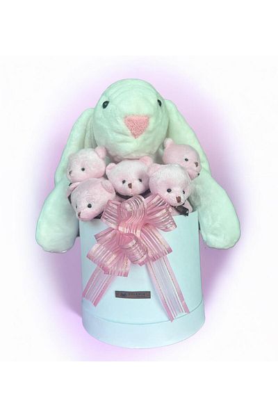 Sole Premium Special Gift - 45 cm White Bunny Rabbit and 5 Red Plush Teddy Bears