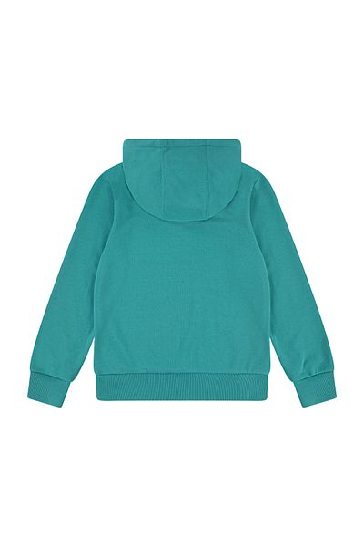 Levi's LVB BATWING PULLOVER HOODIE