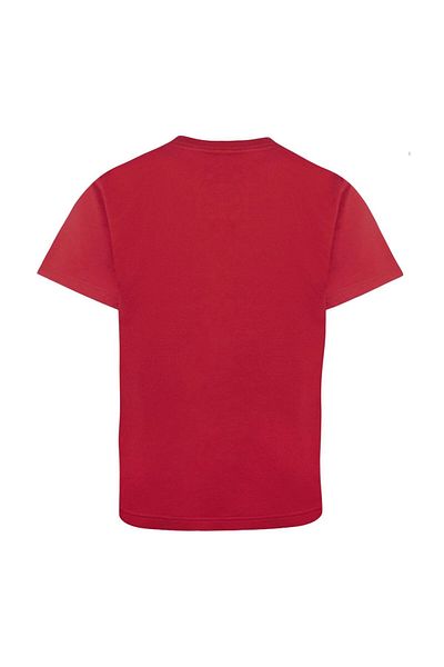 JORDAN NBA JDN SS TEE - CHI M NK ES