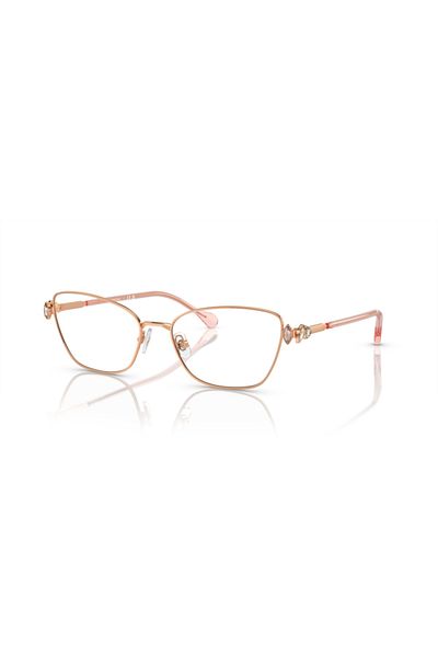 Swarovski Woman Pillow Eyeglasses- Sk 1006 - Lense Size:53mm - Rose Gold