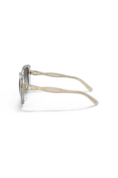 Coach Woman Square Sunglasses- Hc 8333 - Lense Size:53mm - Transparent Grey