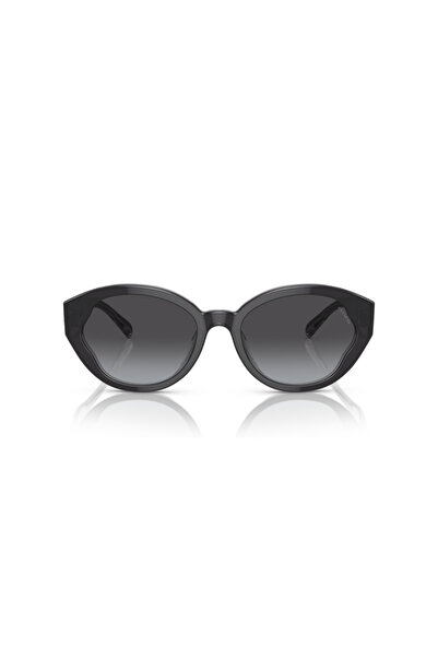 Coach Woman Oval Sunglasses- Hc 8364u - Lense Size:55mm - Black / Transparent Grey