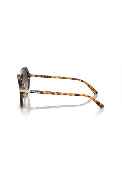 Coach Woman Round Sunglasses- Hc 8377u - Lense Size:55mm - Honey Tortoise Black Gradient