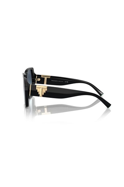 Tiffany Sunglasses 4219 80019S 29