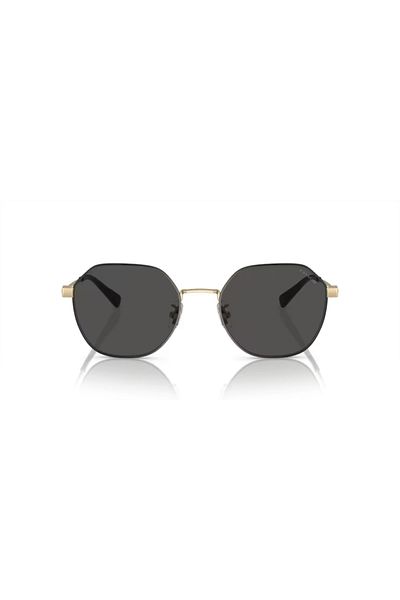 Coach Man Irregular Sunglasses- Hc 7155 - Lense Size:54mm - Light Gold Satin Color