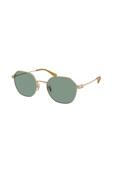 Coach Man Irregular Sunglasses- Hc 7155 - Lense Size:54mm - Light Gold Satin Color