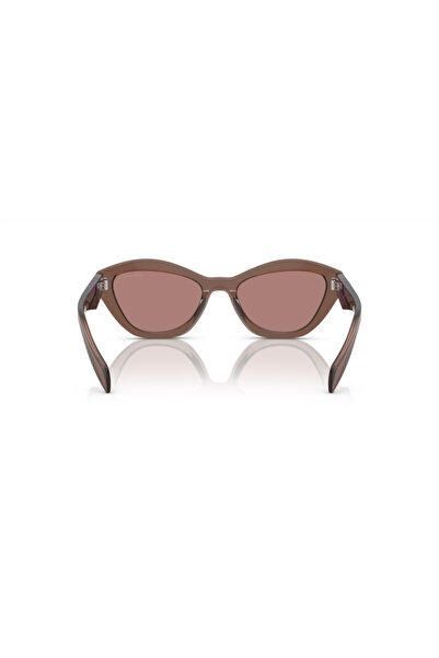 Prada Woman Butterfly Sunglasses- Pr A02s - Lense Size:52mm - Brown Transparent